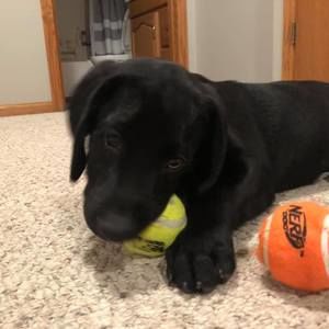 Meet your Posher, Marcie